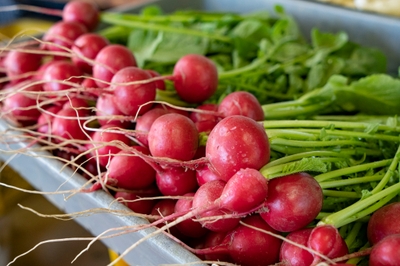 FtqCi8cZoBysesQYic65.jpg?w=940&h=940