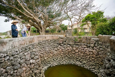 FvrGMyv9Ru0cM7qHPAqs.jpg?w=940&h=940