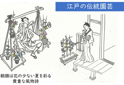 FxbmUqYIguIVZNEAmLZW.png?w=940&h=940