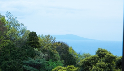 FxsVSG676okjLWqSyR9L.jpg?w=940&h=940