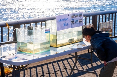 FzAK7opFWKFhACEndlUu.jpg?w=940&h=940