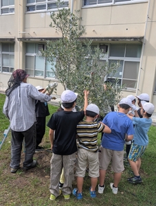 地域の方と収穫体験。