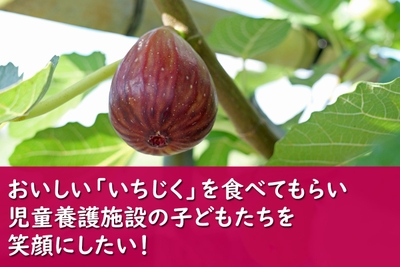 G1NioVttF7pqDCWsnyW7.jpg?w=940&h=940