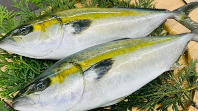 アセロラブリヒラ