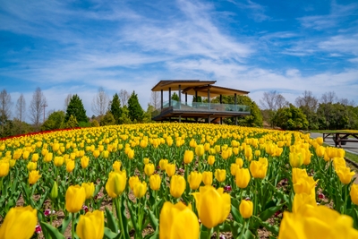 G1zTROTZD2mlEdVMjcY5.jpg?w=940&h=940