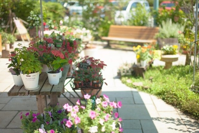 G2uQUhEW7Ukoa2nqTiU2.jpg?w=940&h=940