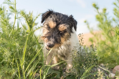 G3LVnNcKBrwR8iuYILlg.jpeg?w=940&h=940