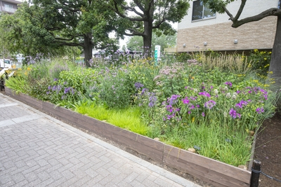 第２回神代植物公園のグランプリガーデン