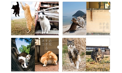 G3o1GQ4203TAs6OtAAVx.jpg?w=940&h=940