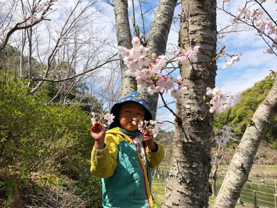 G3r6qTnyz7c6h6awaR2N.jpg?w=940&h=940