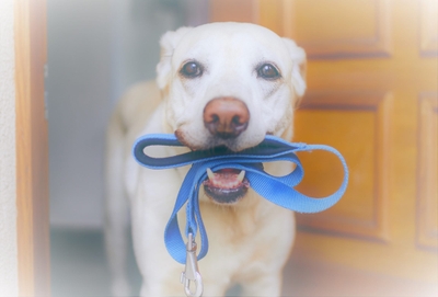 G42YTmyeqbU9YeGxKwbz.jpeg?w=940&h=940