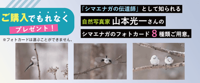 G5RlmsuwgOMNZwKoi8XP.png?w=940&h=940