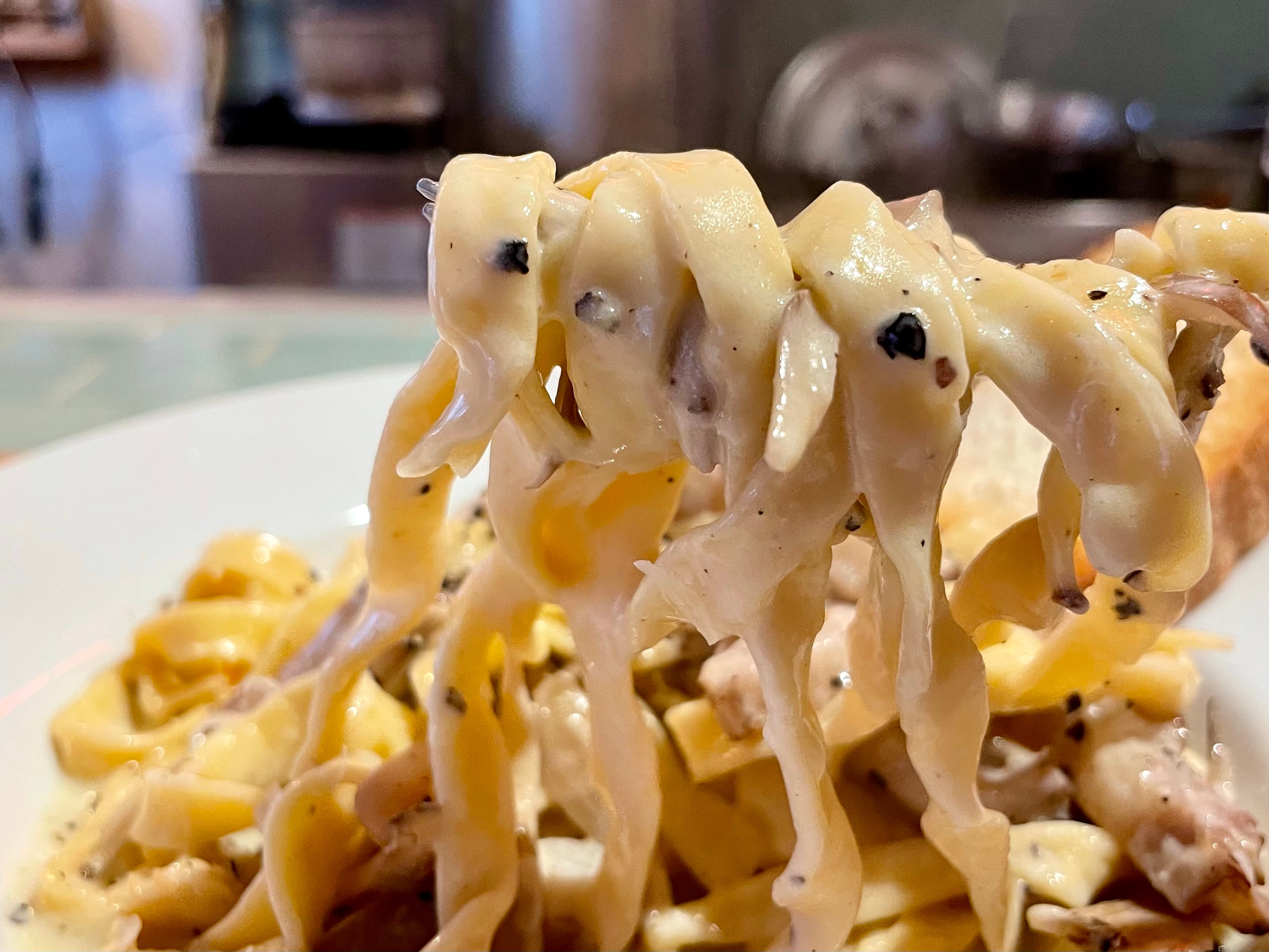 空堀商店街【劇場型】手打ちパスタ専門店「めん料理 鼓腹劇場（こふくげきじょう）」がオープンから人気！