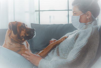 G6N0hMq4WH7KToKNf2KS.jpeg?w=940&h=940