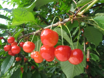 G79a6p4MvmMMnSdwuUfU.JPG?w=940&h=940