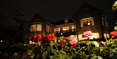 【旧古河庭園】ライトアップの様子を初めてドローンで撮影　初夏の園内動画を公開中