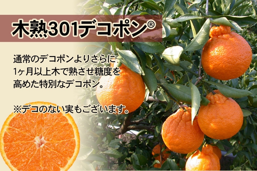「木熟301デコポン」