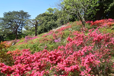 G8xdjJ5c45XcZMkSYar5.jpg?w=940&h=940