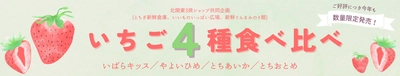 栃木・群馬・茨城のいちごを食べよう！ 産地直送通販サイト「ＪＡタウン」で「北関東３県魅力度向上キャンペーン」第５弾を開催！