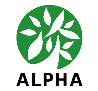 GBQW8P5TlHEfRqFsaqFd.png?w=940&h=940