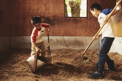 GBe2cQJKN2m3YBnFXv3B.jpg?w=940&h=940