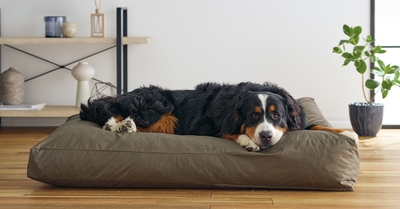 GBjmC8URxLWwXxIGxLNF.jpg?w=940&h=940