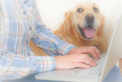 GCRizCFzcKejcJIntHLo.jpeg?w=940&h=940