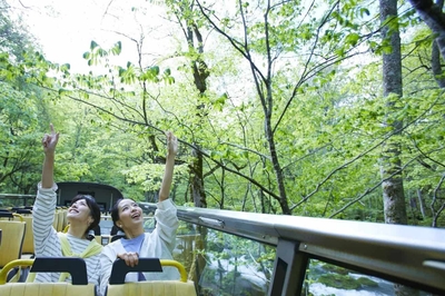 GCWFN2s0HmnmvxYtY4Wk.jpg?w=940&h=940