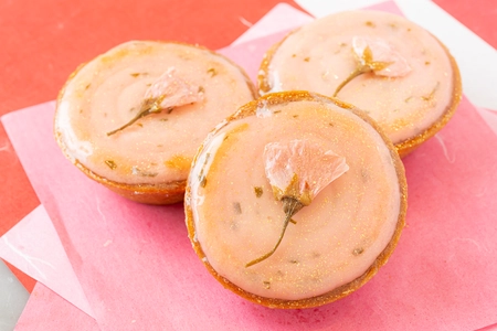 【2021年】BOMBOMYのチーズタルトがお花見にオススメな3つの理由！