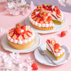 GEQoEQCYUyDnurQ9KYnZ.jpg?w=940&h=940