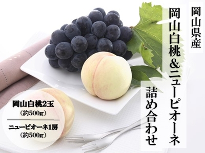 GFzeze8KsYYNEdl1Ee91.jpg?w=940&h=940