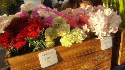 GG5hZNEXV1tfhvMJy6K1.jpg?w=940&h=940