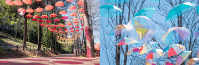 GIDQTjtxMm9v6IlCcu6h.png?w=940&h=940