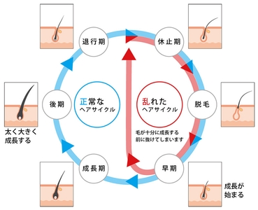 GIeSbAgFAvc2lbOX9CRz.jpg?w=940&h=940