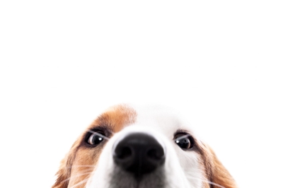 GInWcjv9kCahdthJeW8C.jpeg?w=940&h=940