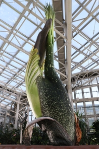 2022年12月9日撮影