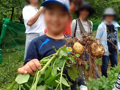 GJIwMwlOPVLnjeQAie3M.JPG?w=940&h=940