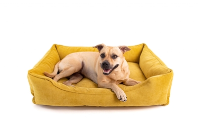 GKARBuKS4X2orHMwjJOD.jpeg?w=940&h=940