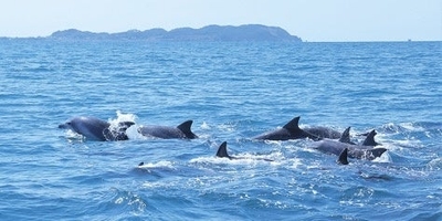 GKEkivn9ZZqVx1QIZxqi.jpg?w=940&h=940