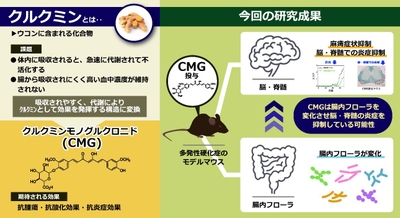 GKGITyk3ETx3lmthnVcT.jpg?w=940&h=940