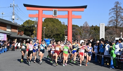 GKLVSU3pKQxlKSi55DZ7.jpg?w=940&h=940