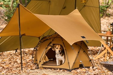 愛犬とキャンプを楽しむ　 Wan＆Co.ブランド第一弾アイテム登場