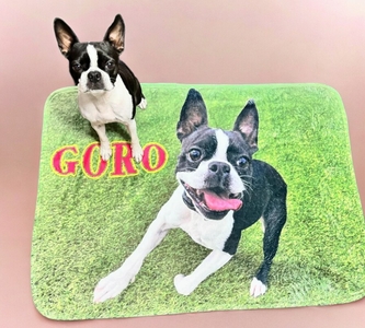 GLIiyKS7Hm2XEASJj4zr.jpg?w=940&h=940