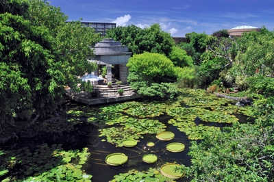 GM0dSQRWbPbEovg23tlf.jpg?w=940&h=940