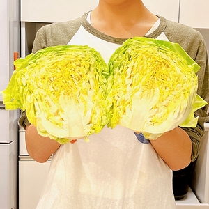 GMcsRtz30gDA0M4CAJUN.jpg?w=940&h=940