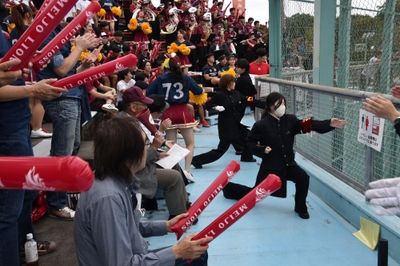 GMmolL4aLM4rvvtrU6so.jpg?w=940&h=940