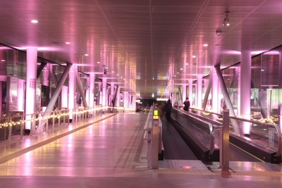 GNOC74uqny8zgNR68uf1.jpg?w=940&h=940