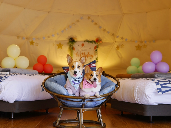 ぴーちゃん&ぷーちゃん