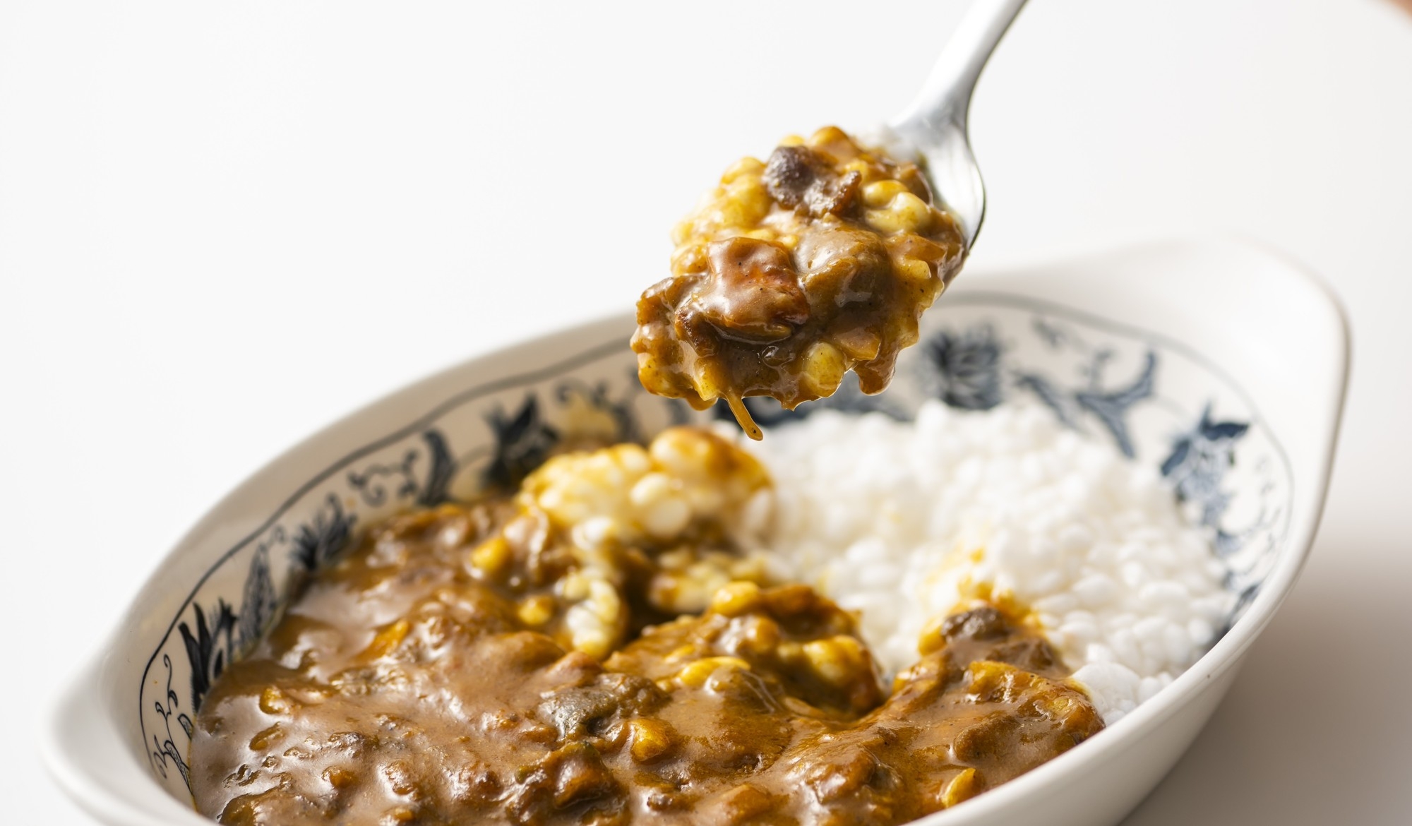 "おいしく続けられるケトン食"を目指して　34種類のスパイスがきいた「ケトン カレー」を発売、シリーズ全11商品に拡充