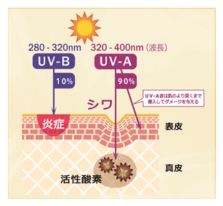 GPS7KbzFo6jivmixAGch.png?w=940&h=940